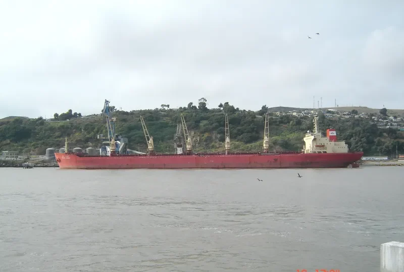 OCEAN FRIEND Bulk Carrier IMO 8002779