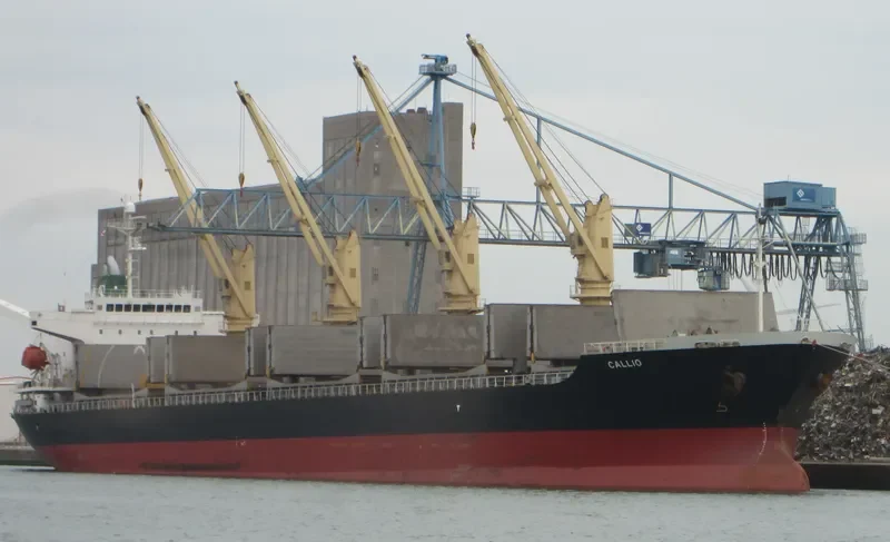 CALLIO Bulk Carrier IMO 8014772 photo 3