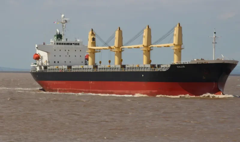 CALLIO Bulk Carrier IMO 8014772 photo 4