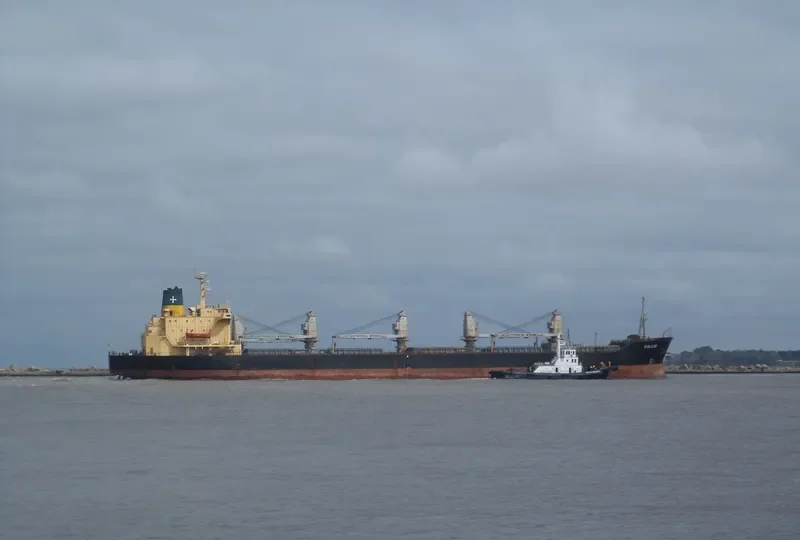 CALLIO Bulk Carrier IMO 8014772 photo 7