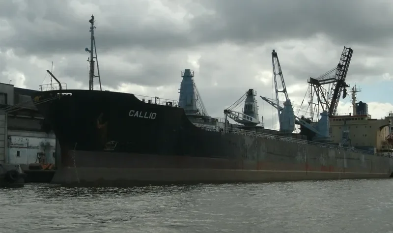 CALLIO Bulk Carrier IMO 8014772 photo 8