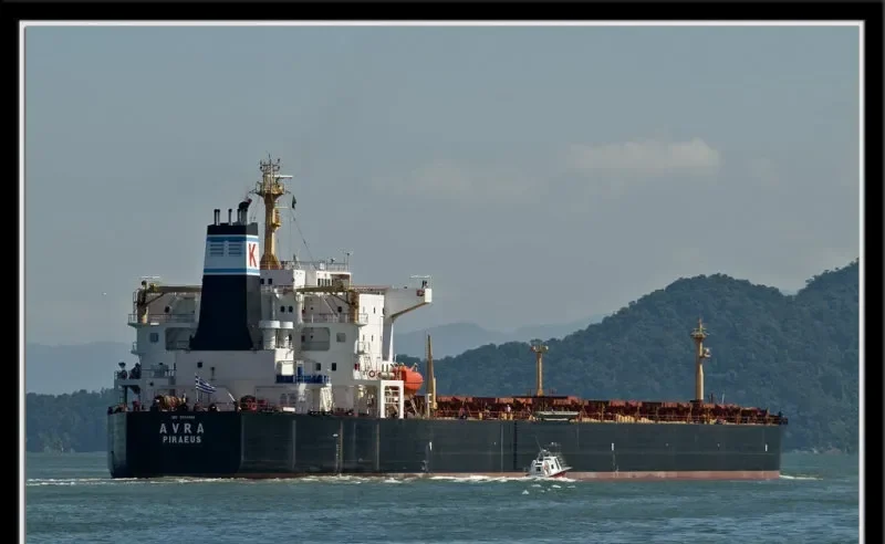 AVRA Bulk Carrier IMO 8024521 photo 11