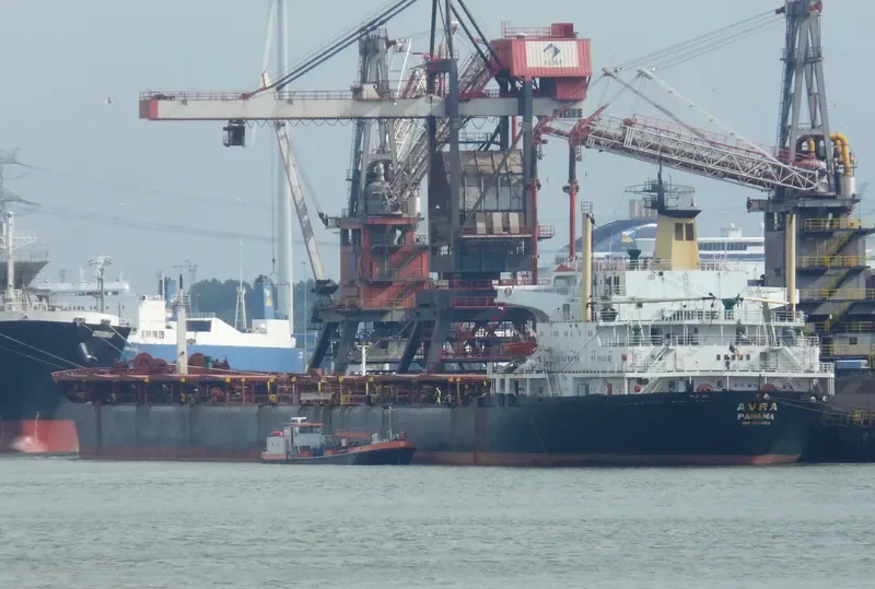 AVRA Bulk Carrier IMO 8024521 photo 15