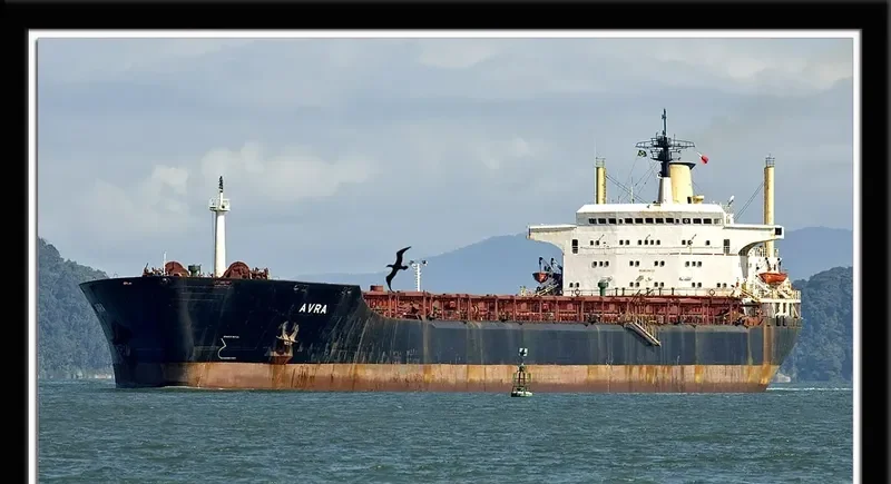 AVRA Bulk Carrier IMO 8024521 photo 20