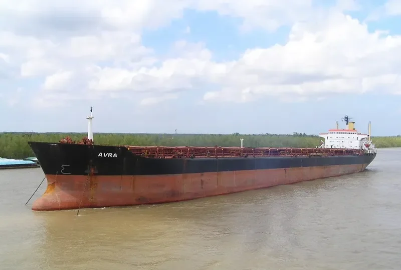 AVRA Bulk Carrier IMO 8024521 photo 23