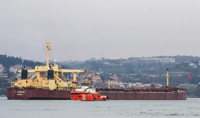 V KERKIS Bulk Carrier IMO 8029064 photo 5