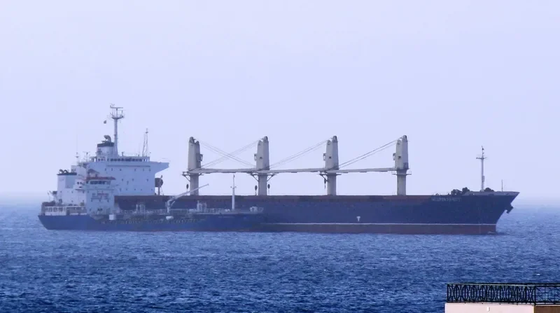 NEPTUNE General Cargo IMO 8101563 photo 2