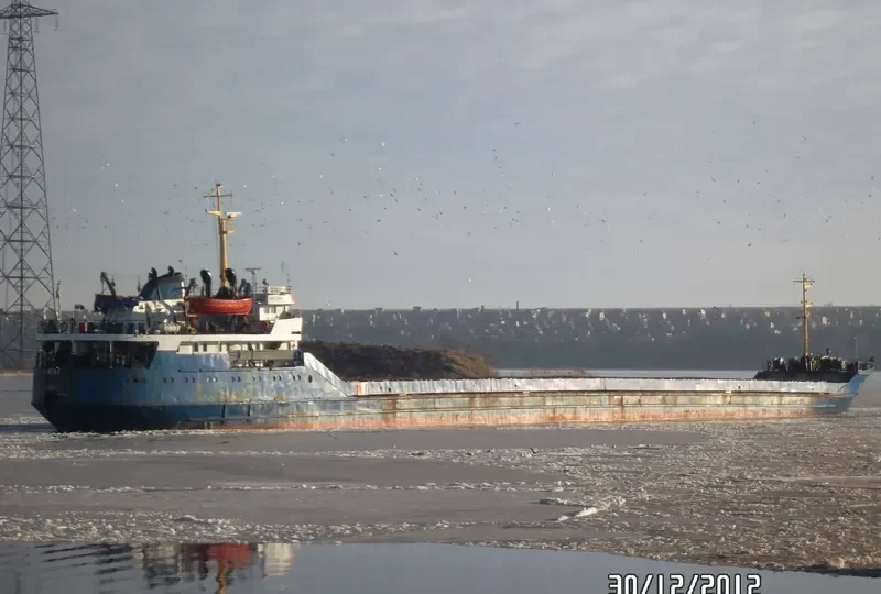SEAGULL General Cargo IMO 8126032 photo 2