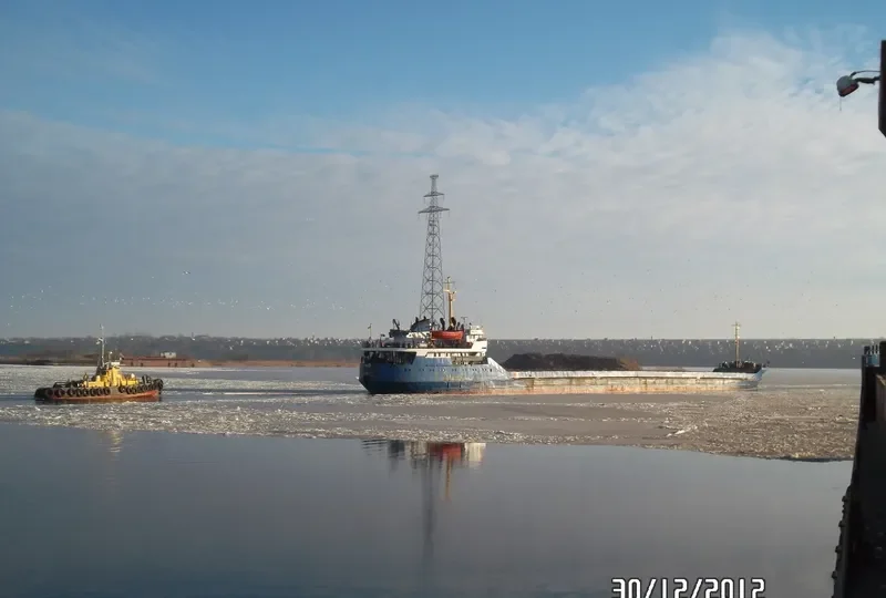 SEAGULL General Cargo IMO 8126032 photo 5