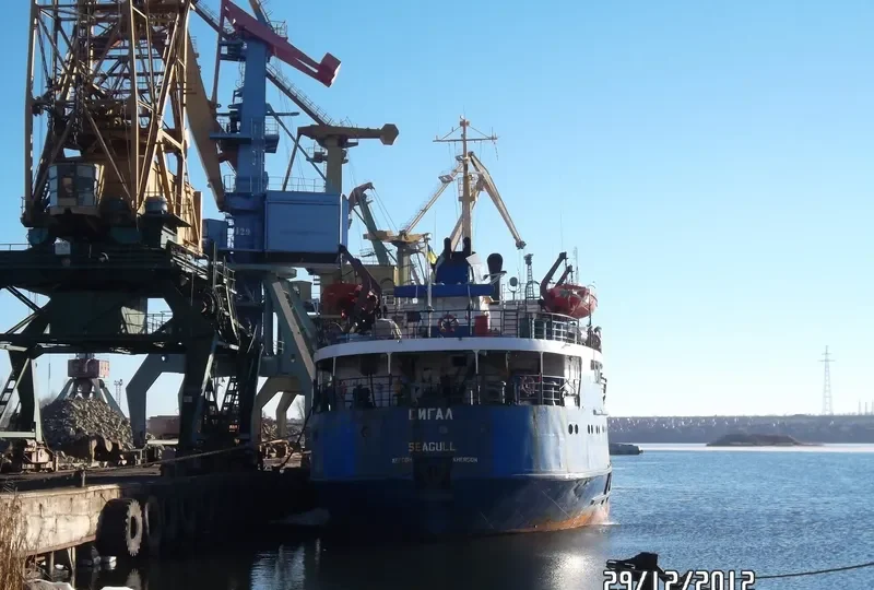 SEAGULL General Cargo IMO 8126032 photo 15