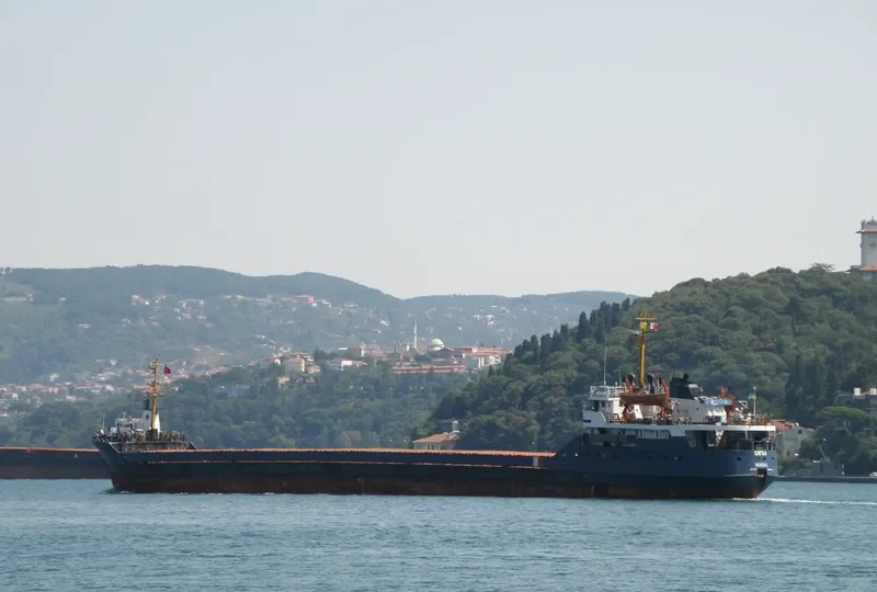 SEAGULL General Cargo IMO 8126032 photo 29
