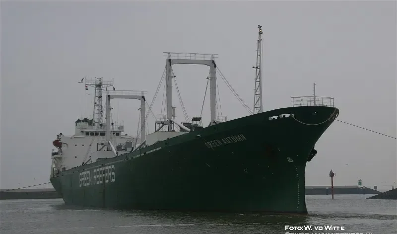 GREEN AUTUMN General Cargo IMO 8126044 photo 3