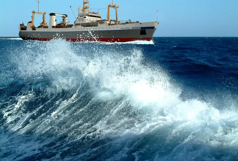 PILOT WHALE General Cargo IMO 8134986 photo 3