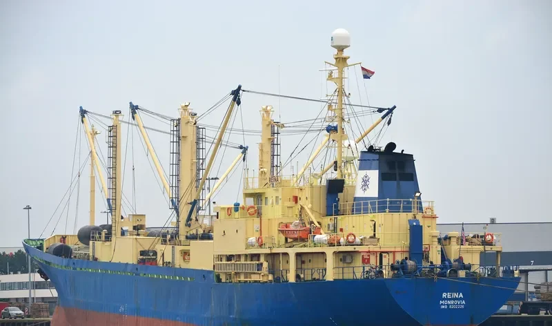 REINA General Cargo IMO 8202226 photo 3