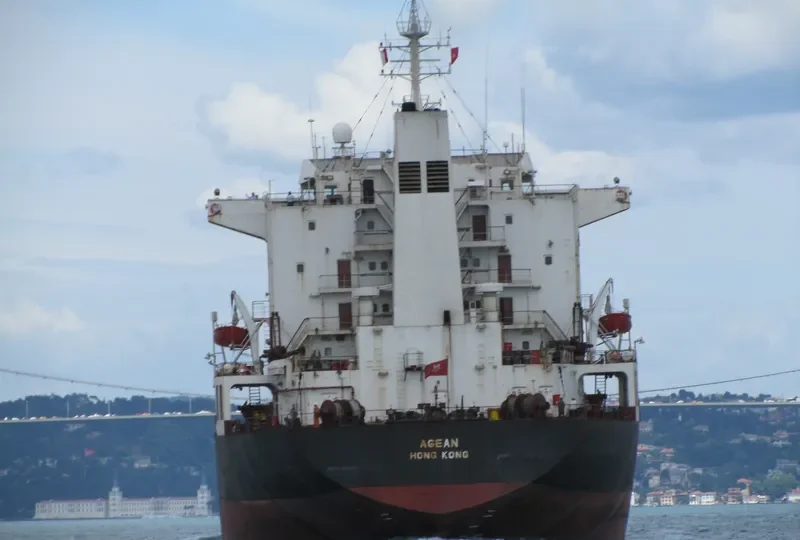 OCEAN 1 Bulk Carrier IMO 8309634