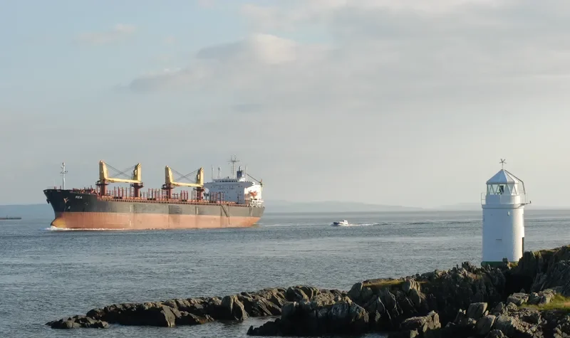 VLADIMIR PETRENKO Bulk Carrier IMO 8323410 photo 4