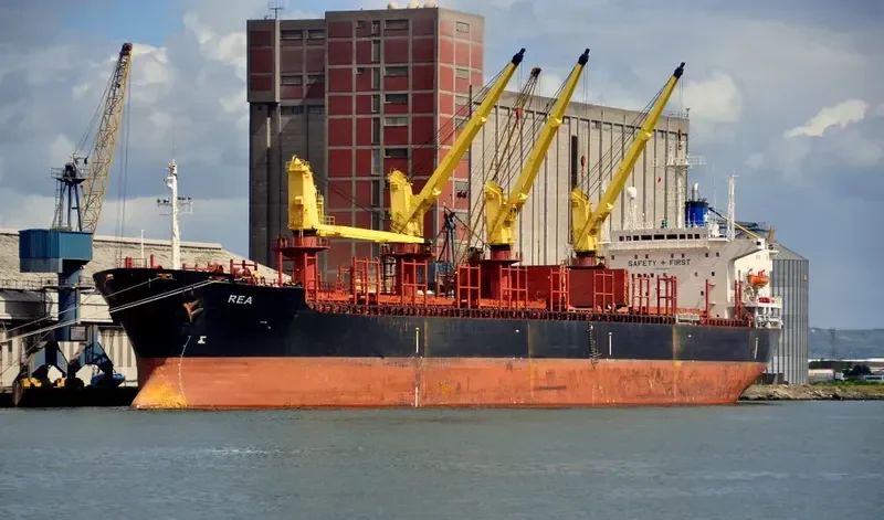 VLADIMIR PETRENKO Bulk Carrier IMO 8323410 photo 8