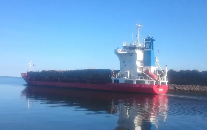 MERITA Container Ship IMO 8422034 photo 7