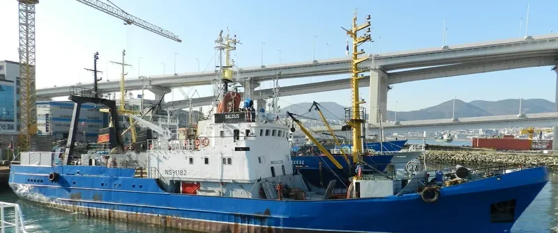 SALDUS General Cargo IMO 8423155 photo 115