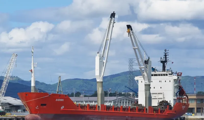 SIDIMI General Cargo IMO 8501414 photo 329