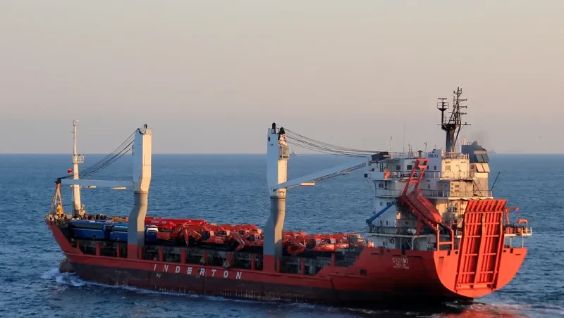 SIDIMI General Cargo IMO 8501414 photo 788