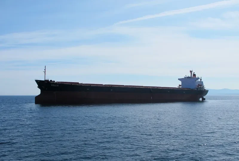 VISION Bulk Carrier IMO 8514239 photo 3