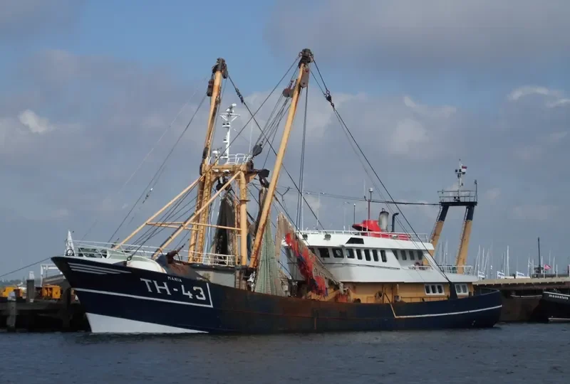 TH 43 MARIA General Cargo IMO 8521737 photo 8