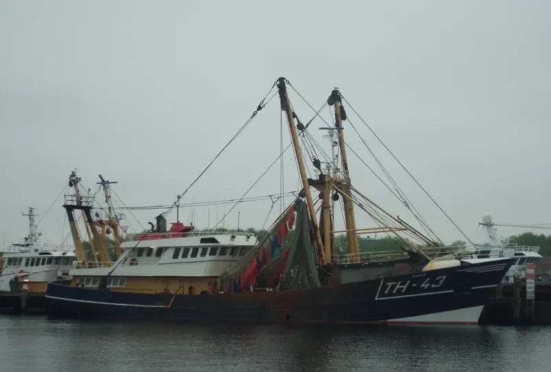 TH 43 MARIA General Cargo IMO 8521737 photo 10