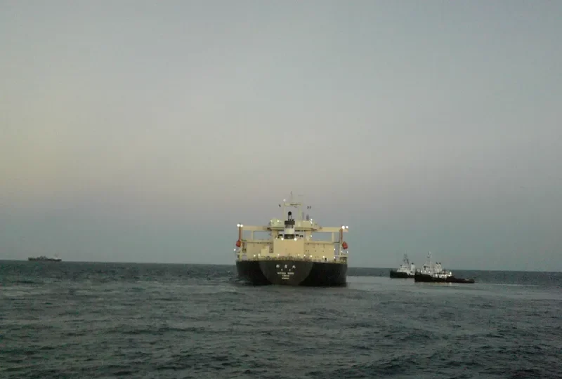 NIITAK Bulk Carrier IMO 8606159 photo 2