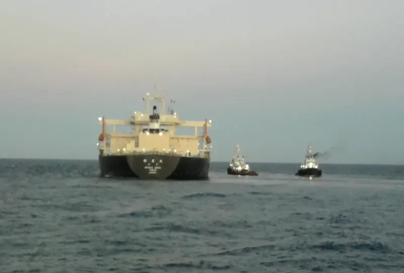 NIITAK Bulk Carrier IMO 8606159 photo 3