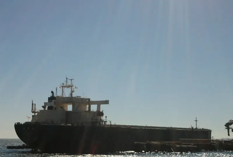 NIITAK Bulk Carrier IMO 8606159 photo 9