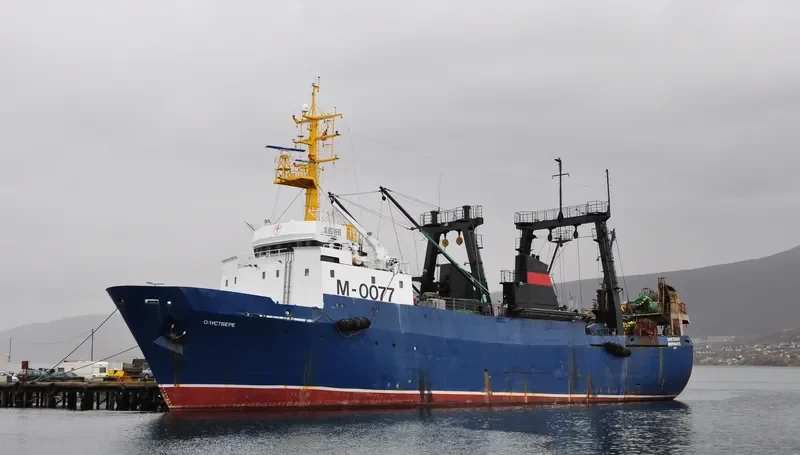 LAIMA General Cargo IMO 8606745 photo 348