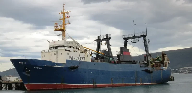 LAIMA General Cargo IMO 8606745 photo 445