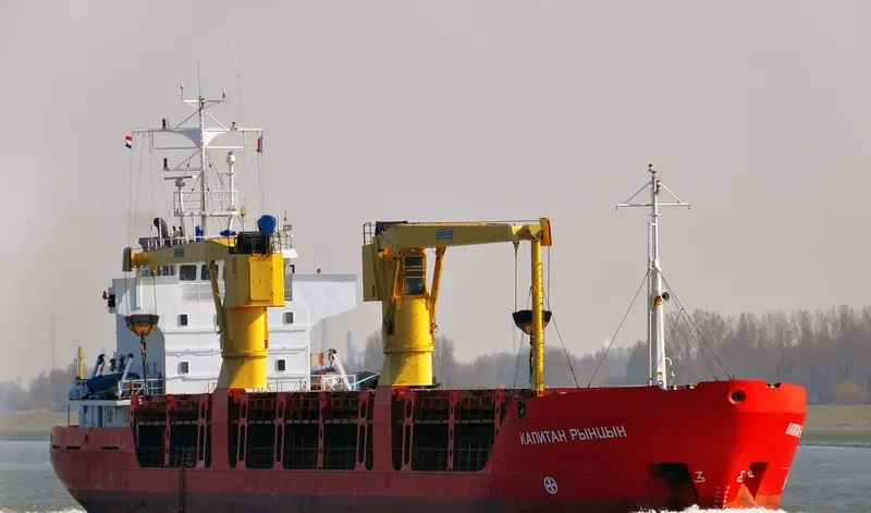 KAPITAN RYNTSYN General Cargo IMO 8618073