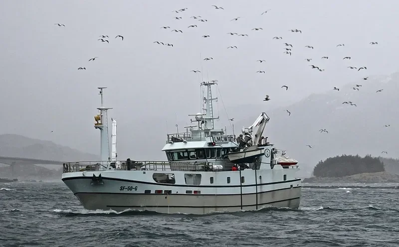 MARIE General Cargo IMO 8656984 photo 7