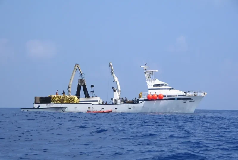 ALHILAL General Cargo IMO 8657976