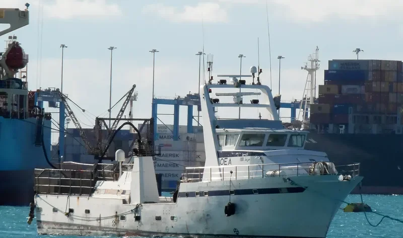 OEA General Cargo IMO 8659924