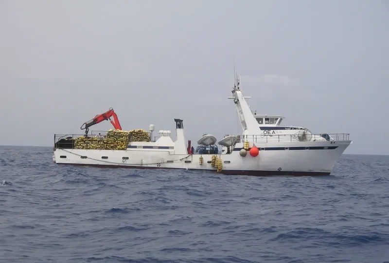 OEA General Cargo IMO 8659924 photo 2