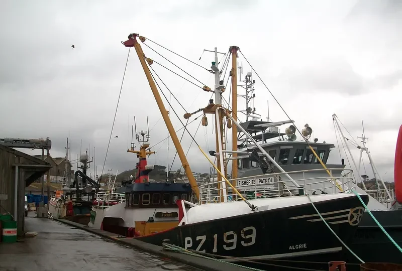 ALGRIE General Cargo IMO 8662153 photo 9