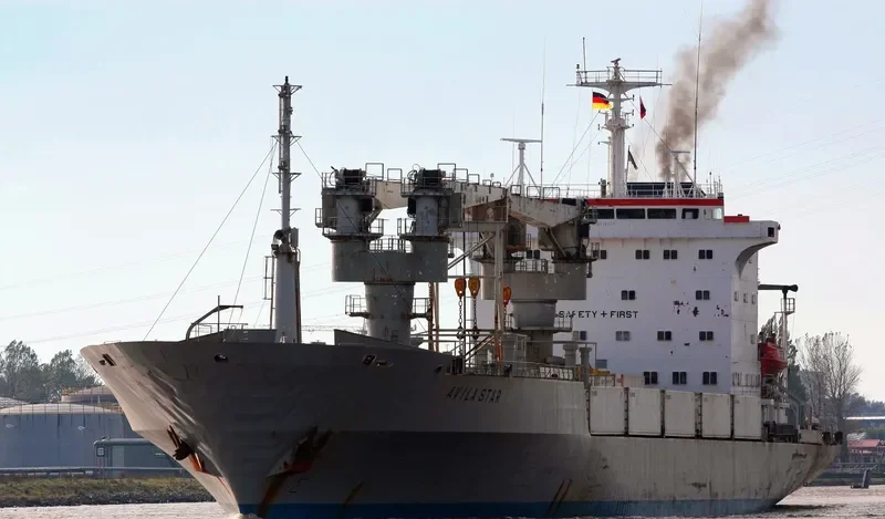 VILA General Cargo IMO 8713550 photo 2