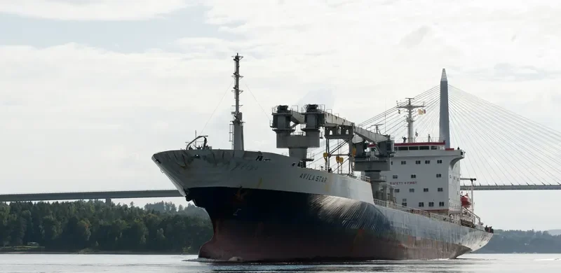 VILA General Cargo IMO 8713550 photo 3