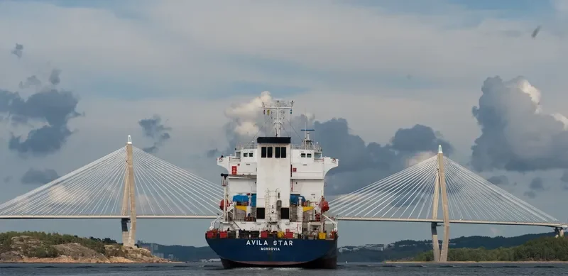 VILA General Cargo IMO 8713550 photo 5