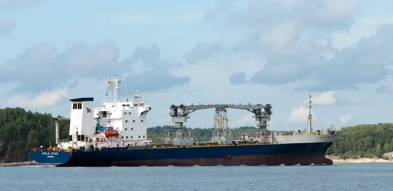 VILA General Cargo IMO 8713550 photo 21