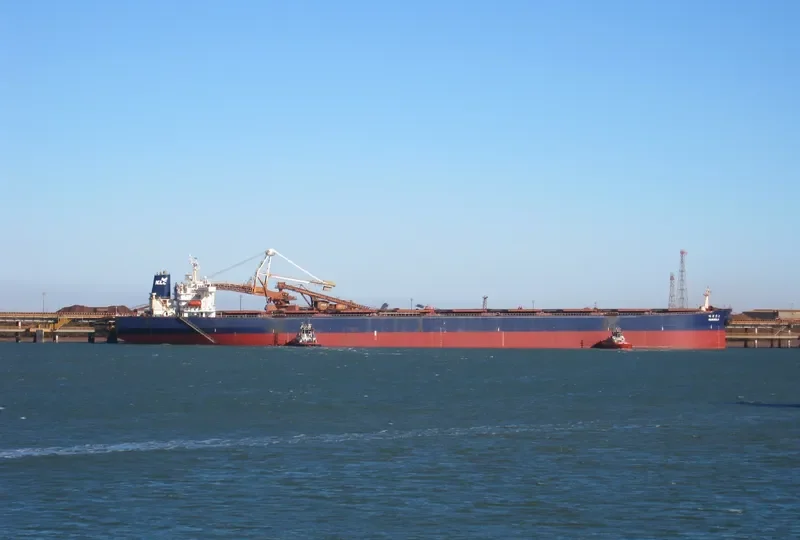 MARIGOLD Bulk Carrier IMO 8815255