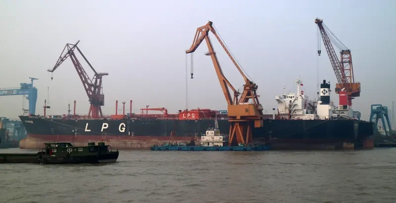 GAS GEMINI General Cargo IMO 8818219 photo 3