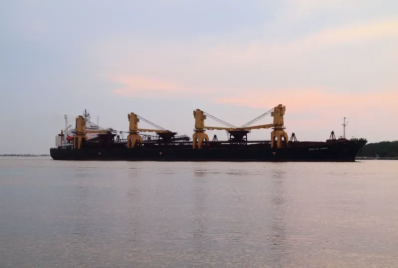 INTER STEVEDORING 8 Bulk Carrier IMO 8819225 photo 4