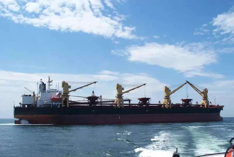 INTER STEVEDORING 8 Bulk Carrier IMO 8819225 photo 7