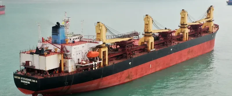 INTER STEVEDORING 8 Bulk Carrier IMO 8819225 photo 8