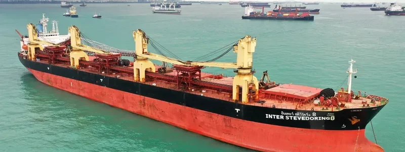 INTER STEVEDORING 8 Bulk Carrier IMO 8819225 photo 9
