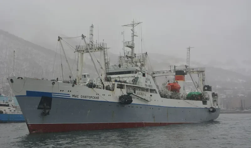 MYS OLYUTORSKIY General Cargo IMO 8859938 photo 2